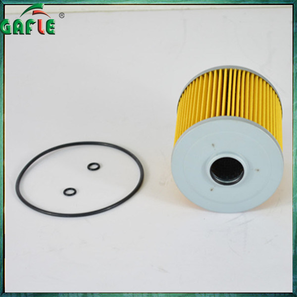 Water Particulate Filters (16546-0T006)