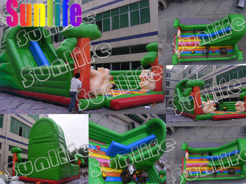 Water Slide, Water Slides, Inflatable Slide, Combo Slide