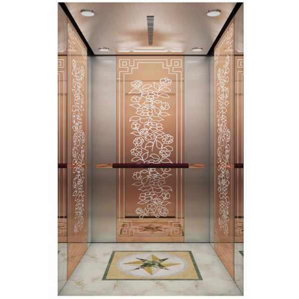 Villa Elevator with Decoration From Lingz Brand