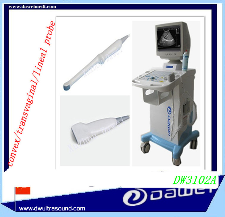 2d Trolley Transvaginal Ultrasound Hospital Equipment (DW3102A)
