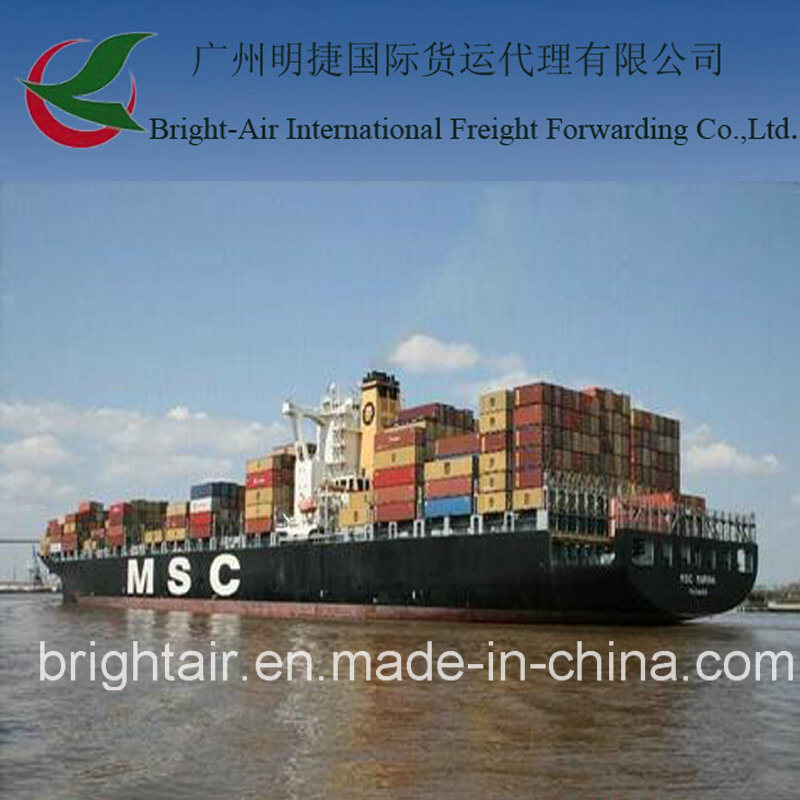 Efficient Freight Broker From China to Suape Brazil