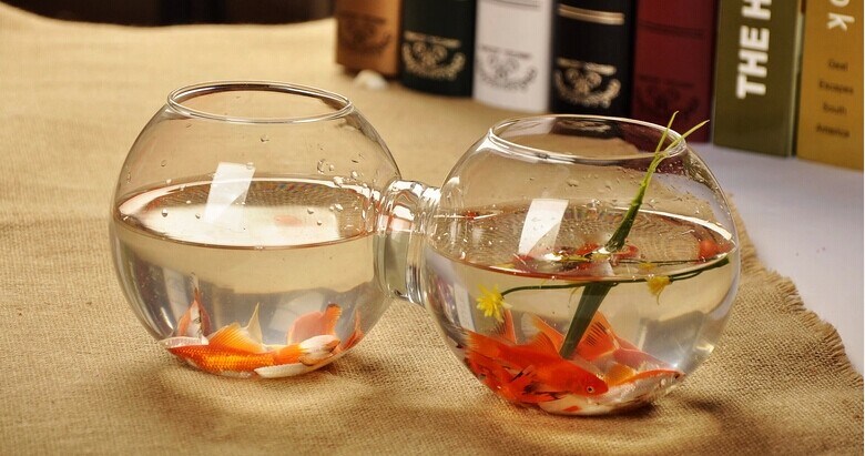 Creative Siamese Glass Fishbowl