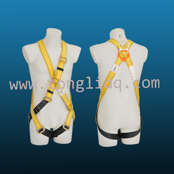 Hanging Full Body Safety Belt (AS-144)