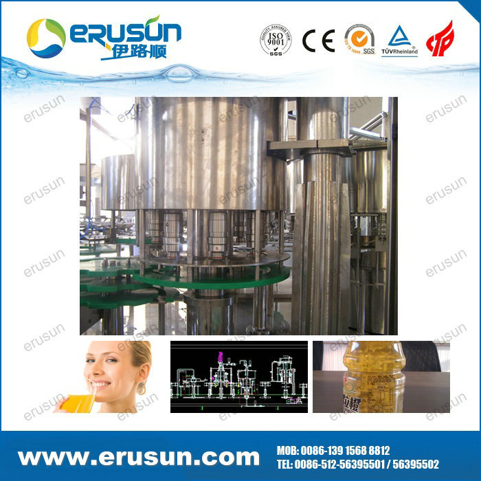 Rinsing, Pulp Filling, Juice Filling and Capping 4-in-1 Machine