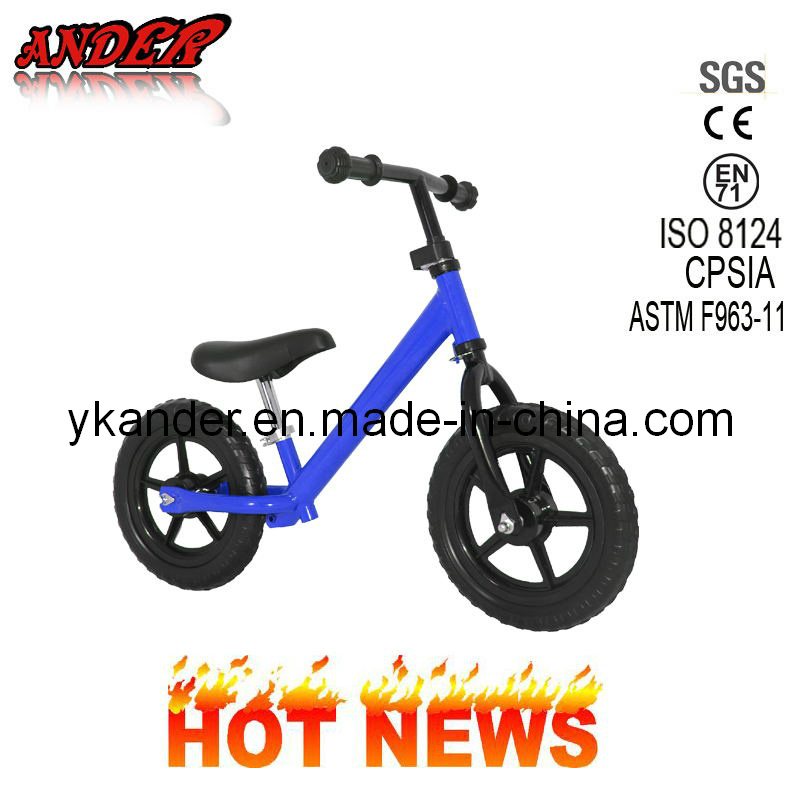 Blue2 Wheels Kids Bike/ Kids Balance Bike with OEM/ODM Service (AKB-1202)