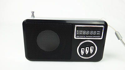 Multi Card Reader Speaker (DS-WS-258)