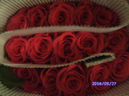 Roses--Fresh Cut Flowers-Roses, Carnations, Lily, Gerbera and Other Flowers