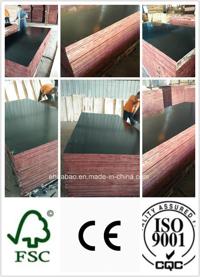 Top Quality Film Faced Plywood Poplar Core All Sizes (HBP002)
