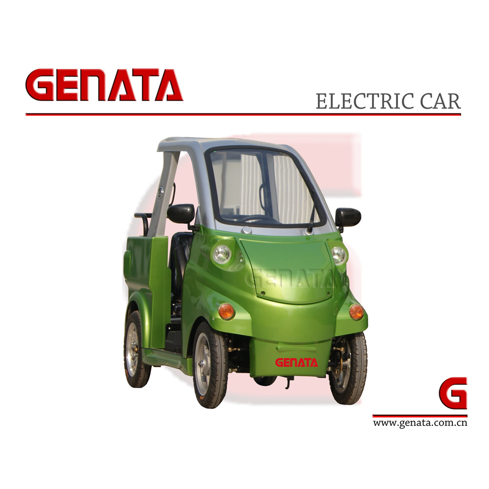 Sightseeing Mini Electric Car (GC101E)