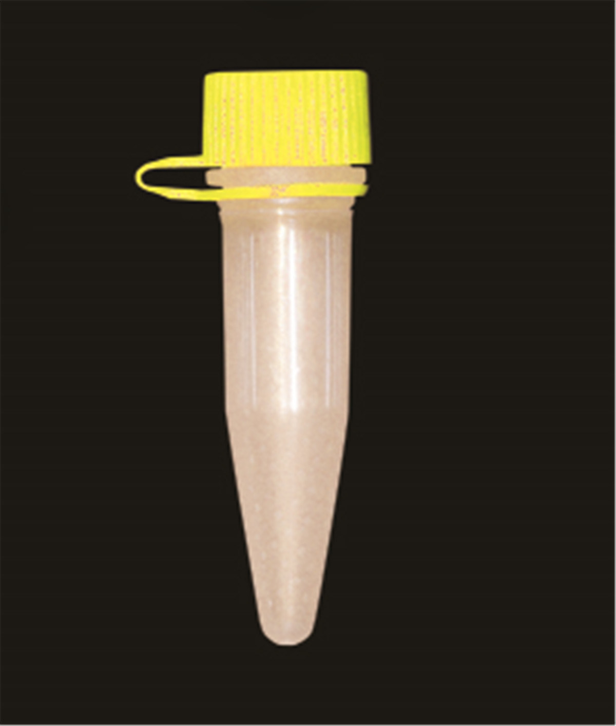 Micro-Centrifuge Plastic Tube with Yellow Cap