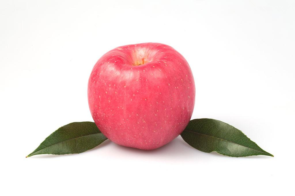Yantai Fresh FUJI Apples (2014)