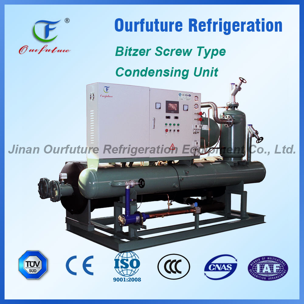 Bitzer Water Coold Screw Type Water Chiller for Fishery