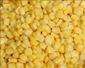 IQF Export High Quality Frozen Vegetables Corn