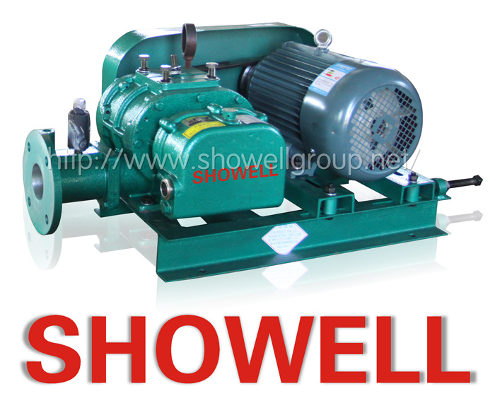 High Quality Chemical Gas Blower/ Roots Blower (Rotary Blower)