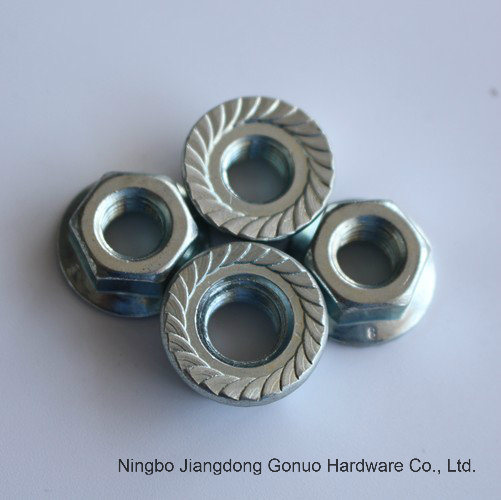 Hex Flange Nut with Point