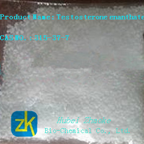 High Purity Steroid Powder Testosterone Enanthate