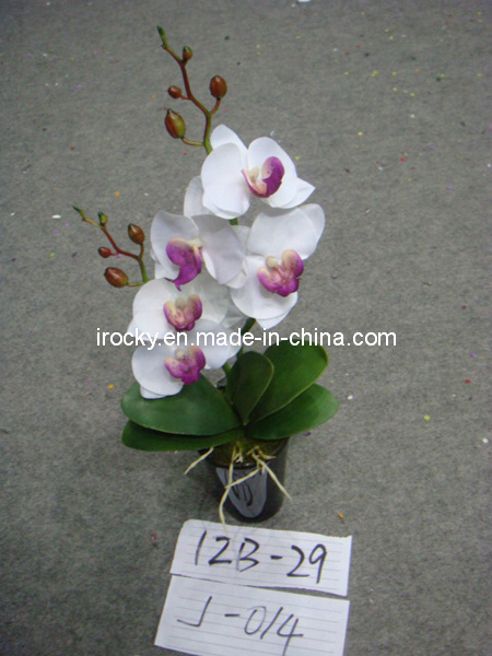 Craft Flower (J-014C)