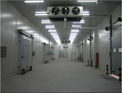 PU Commercial Cold Room for Food Storage