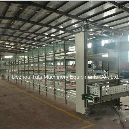 Automatic 3tiers H Type Broiler Cage Battery