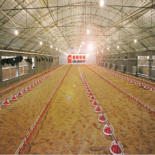 Industrial Agriculture Equipment for Broiler Rearing (JCJX-140)