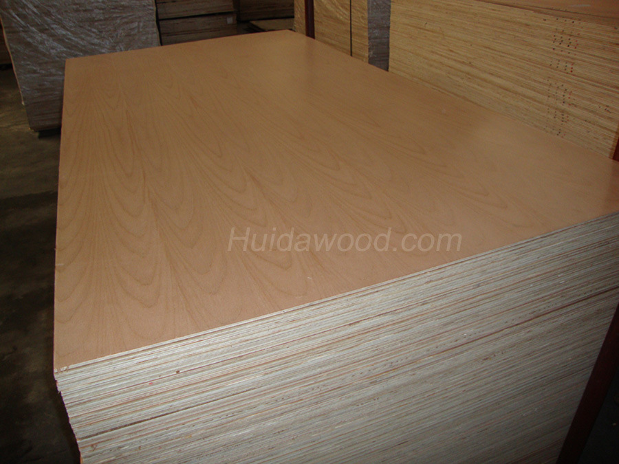 Beech Veneered Plywood