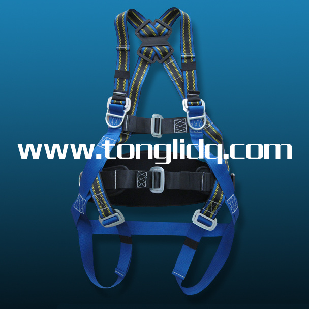 Ladder Safety Belts