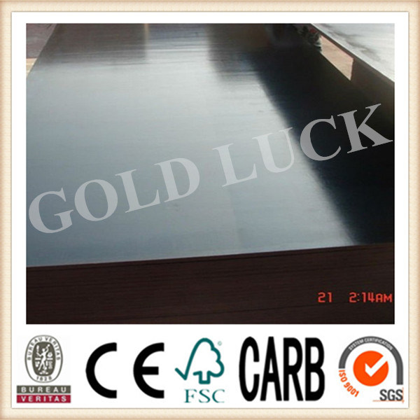 Hardwood Core Film Faced Plywood, Construction Plywood