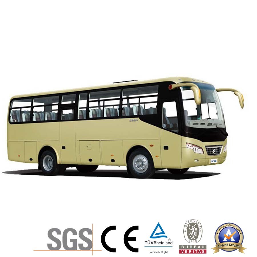 Best Price 39+1+1 Long Coach Bus with TV and AC
