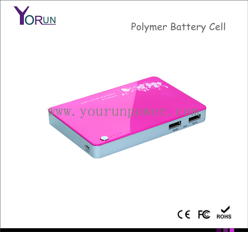 Polymer Portable Power Bank 5000mAh for iPad/iPod (YR050)