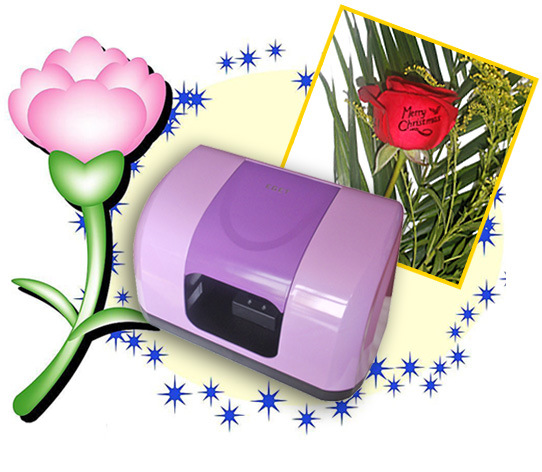 Fashion Flower Printer (SP-F06B2)