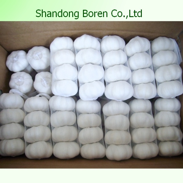 White Garlic China Origin Good Quality