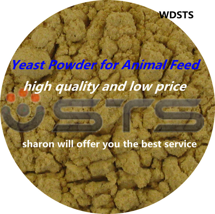 Yeast Powder for Animal Feed Poultry Feed (High Quality And Low Price)