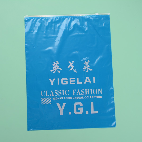 Clear Plastic Zippered Storage Bag
