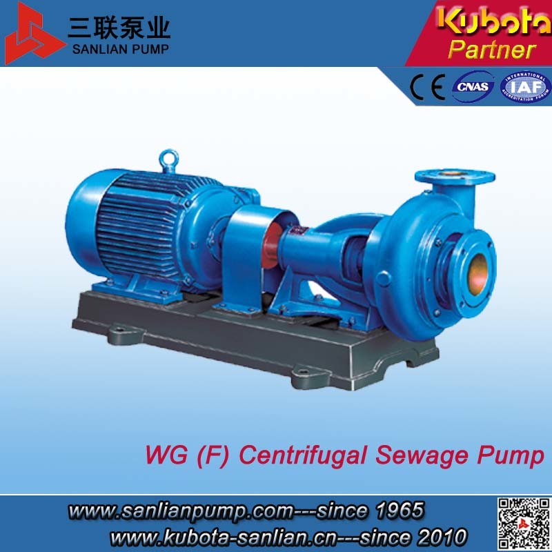 Wgf Horizontal Corrosive Resistant Sewage Pump
