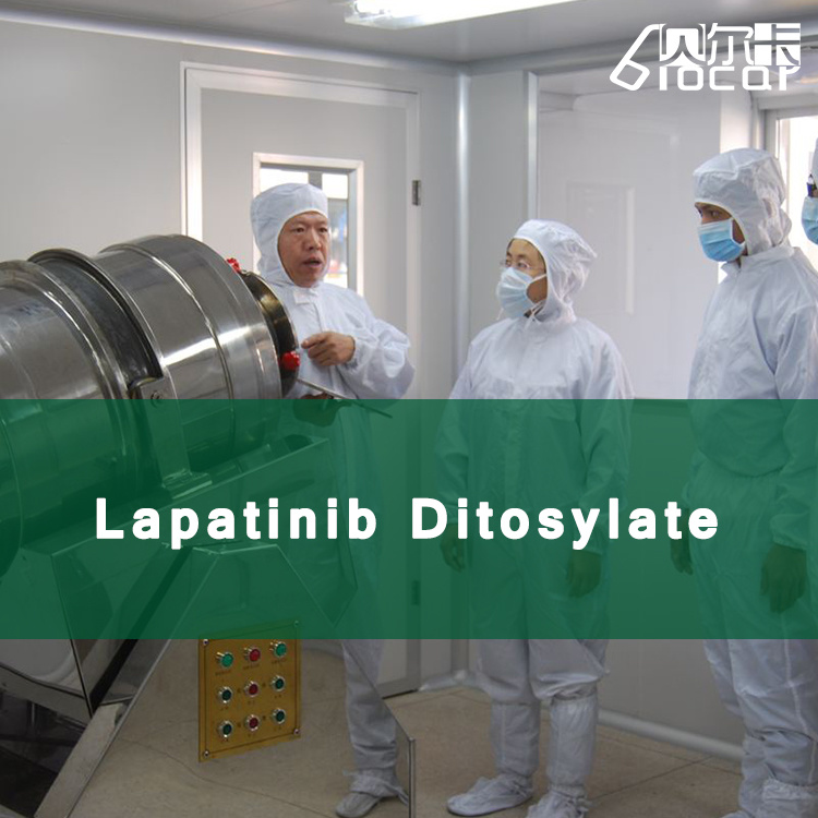99.6% High Purity Lapatinib Ditosylate (CAS: 388082-78-8)