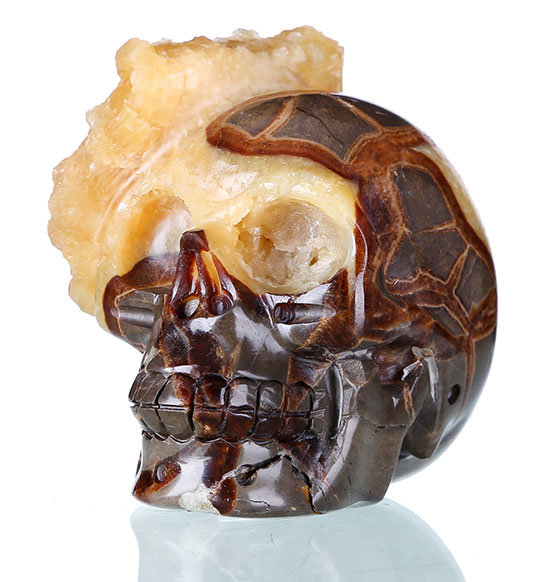 Natural Geode Turtlelike Jasper Human Skull Crystal Healing #0V26