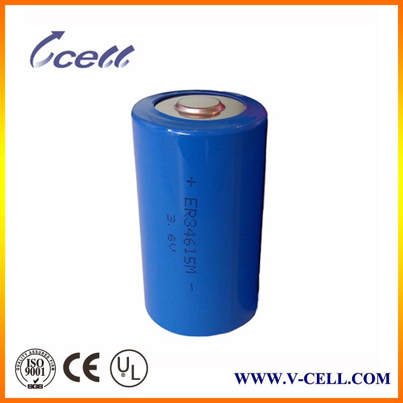 Er34615 3.6V D 20000mAh Lithium Battery Packs