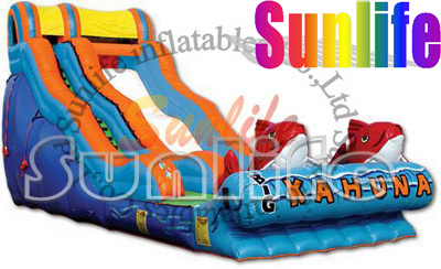 Inflatable Double Fish Slide, Slide