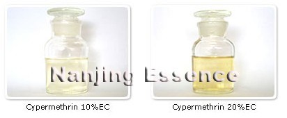 Cypermethrin 20%Ec (52315-07-8)