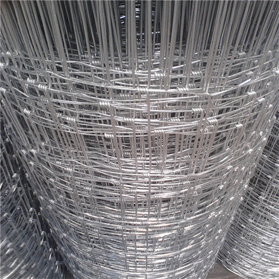 Knotted Galvanized Yard Guard Fence