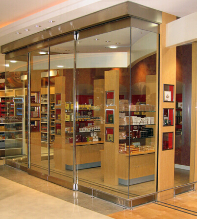 High-Quality Automatic Sliding Doors (DS100)