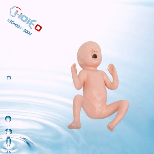Twenty-Four&Thirty Weeks Premature Infant Model for Medical Science Training (Baby Model)