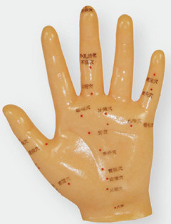 PVC Material Texture Velvety Hand Acupuncture Model