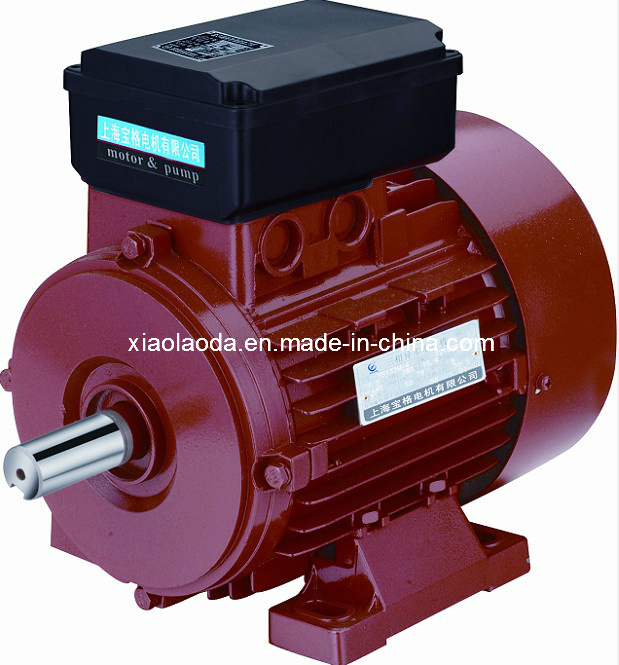 Yc Electric Motor-Induction Motor with CE Approved