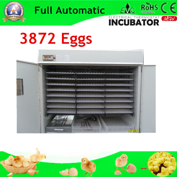 Factory Selling Auto. Chicken Egg Hatching Incubators (WQ-3872)