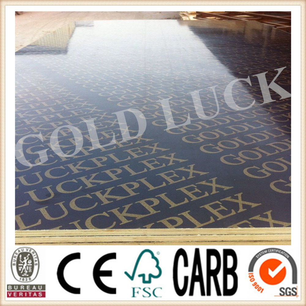 Qingdao Gold Luck as 6669 F17 Standard Formply Plywood