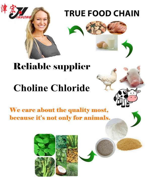 China Animal Feed Factory Price Choline Chloride 50% 60% Free Grade 67-48-1
