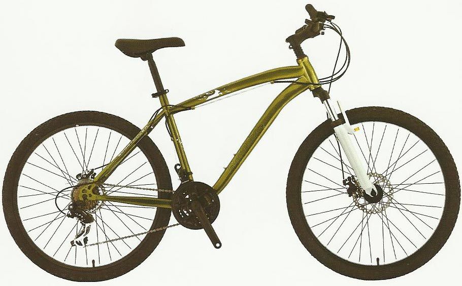 MTB, Mountain Bike, Mountain Bicycle (1231)