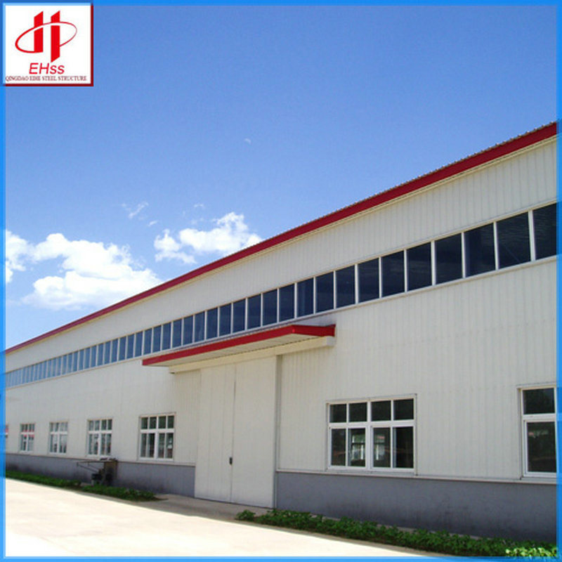 Steel Structure Factory Building Made in China (EHSS065)