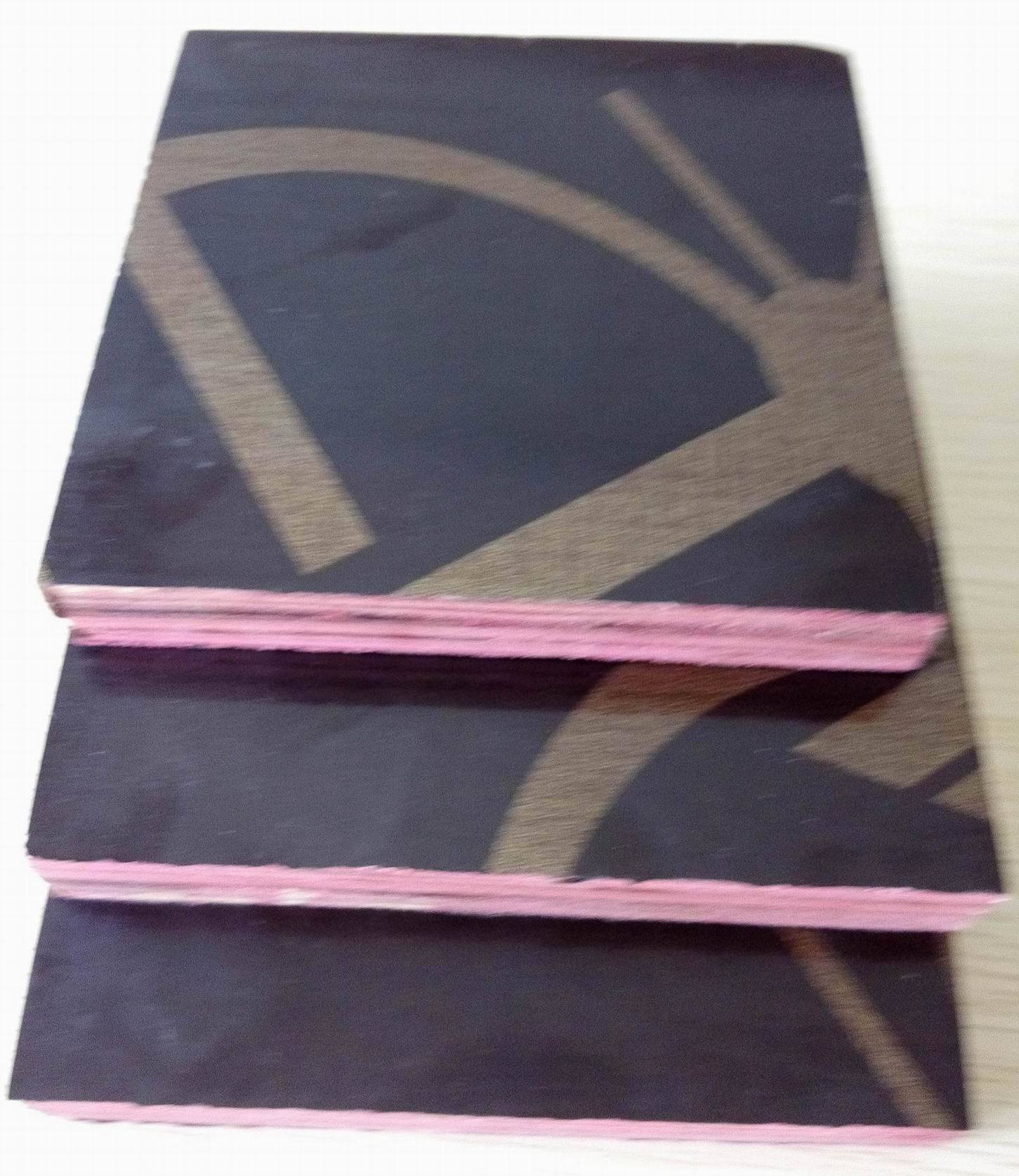Plywood Door Skin with Competitive Price (17mm)